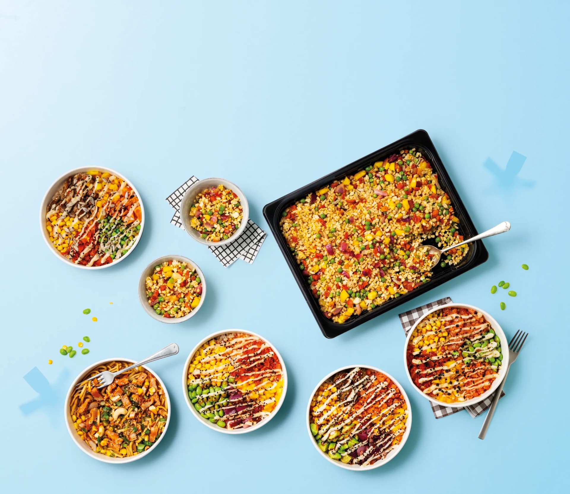 Frostique frozen meal bowls and trays